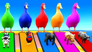 Download lagu Playing as Spideman in Long Slide Game with Cow Elephant Gorilla - 3d Animal Game - Funny 3d Animals mp3 Download lagu Playing as Spideman in Long Slide Game with Cow Elephant Gorilla - 3d Animal Game - Funny 3d Animals mp3