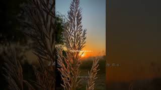 JUDA JO TUJSE....:)👀💗 || WHATSAPP STATUS || #live #gaming #gameplay #games #game