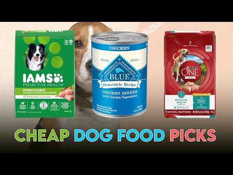 Top 5 Budget-Friendly Dog Food Options