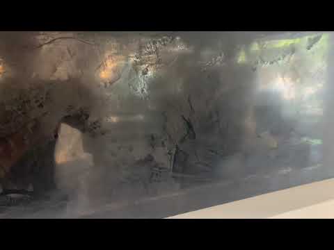 Black Polished Venetian Plaster