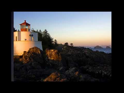 In consolle...   DJ THE VIPER