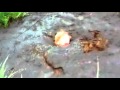 Man Jumps In Quicksand