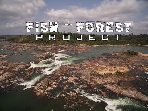 Fish + Forest Xingu 2016 Trailer 3