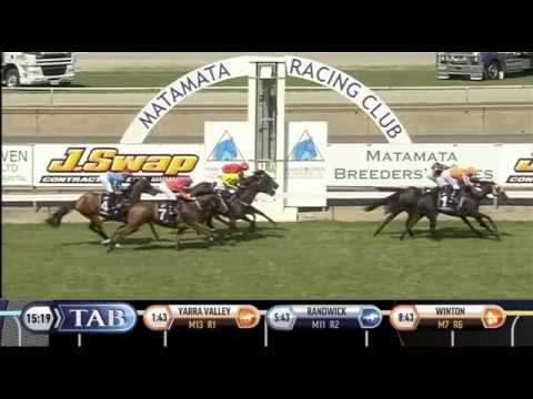 MATAMATA BREEDERS' STAKES - Gold Fever