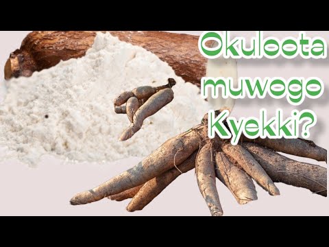 Okulota muwogo kyeki Omulangira Omuchwezi