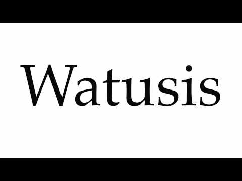 How to Pronounce Watusis
