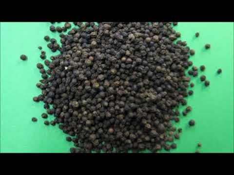 Omar Akram.Selections.