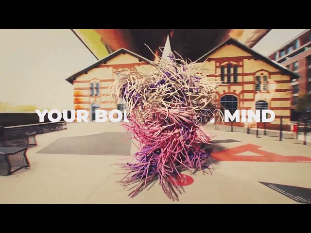 Body On My Mind