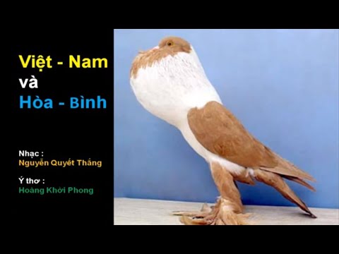 Thể hiện bởi Nguyễn Quyết Thắng