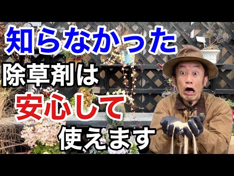 天然除草剤のレシピ ネオニコチノイド グリホサート 効果的な有毒蜂