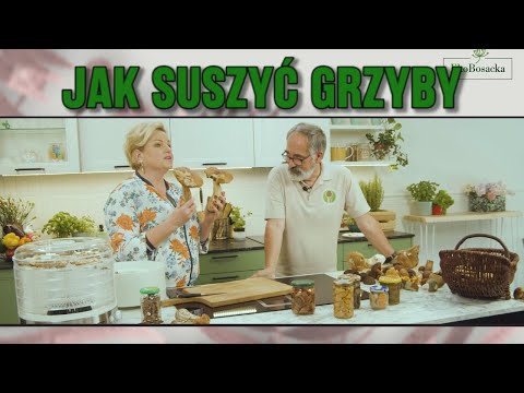 Na grzyby - EkoBosacka odc.161