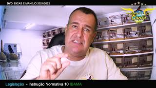PALESTRA SOBRE CURIÓS