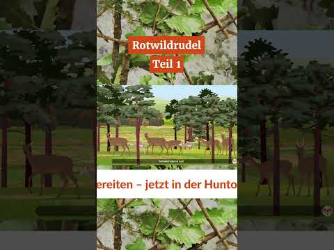 𝗥𝗼𝘁𝘄𝗶𝗹𝗱𝗿𝘂𝗱𝗲𝗹 𝗧𝗲𝗶𝗹 𝟭