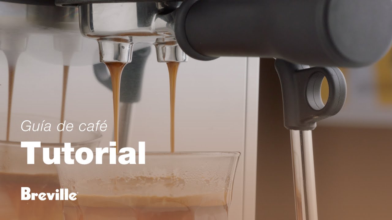 Tutorial de guía de café de Breville - Cómo hacer un Americano