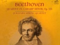 Beethoven String Quartet No.14 in C-sharp minor, Op 131 (1st Movement)