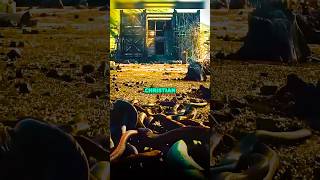 Download lagu Joe Rogan’s View on Noah’s ARK mp3