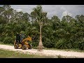 Cat® 903D Compact Wheel Loader | Overview