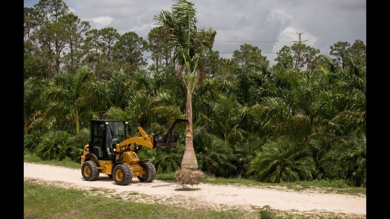 Cat® 903D Compact Wheel Loader | Overview