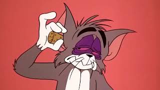 Tom and Jerry cartoon episode 155 - Rock n Rodent 