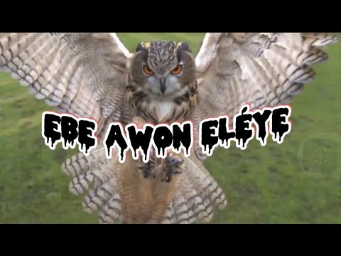 ÒGÚN Ẹ̀BẸ́ ÀWỌN Ẹ̀LẸ́YẸ̀ ( ebe agba) forgiveness of witches @Dromoodoagbatv #youtube #subscribe