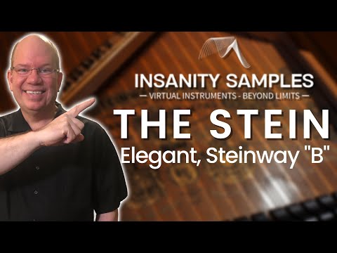 Let's Play THE STEIN From Insanity Samples
