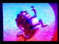 ABC The Wonderful World Of Disney A Bug S Life Promo June 17 2006 Low Quality