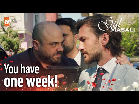 Arda is in trouble - Gul Masali | Episode 2