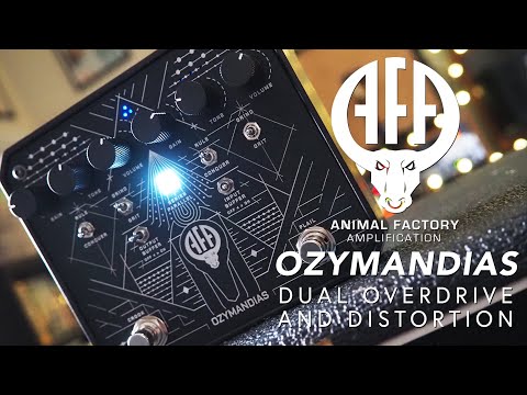 Animal Factory Amplification // Ozymandias Dual Overdrive Distortion (Demo)