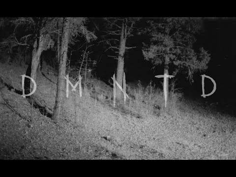 DMNTD (2022) - 16mm Short