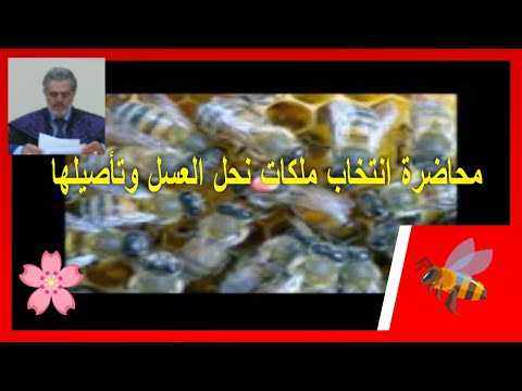 , title : 'محاضرة الأستاذ الدكتور علي خالد البراقي انتخاب الملكات وتحسين صفاتها'