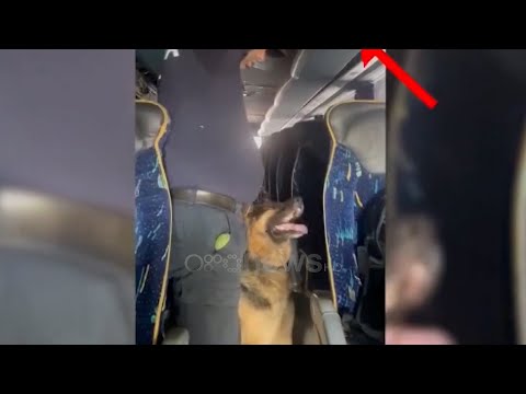 Fier / Sekuestrohen pasuritë e tre shtetasve dhe bizneset e tyre, dyshohet për pastrim parash