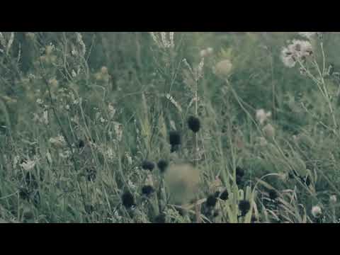 Video thumbnail for Woodlands
