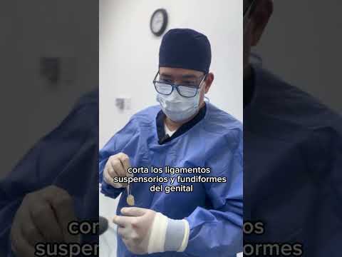 video zAsmv1mhXdo