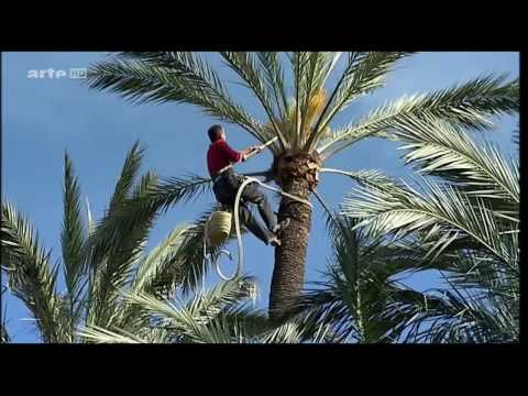 HD! Reisen für Genießer: Spanien - Alicante [Doku]