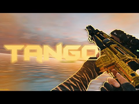 Tango - Didystone1 (CODM Montage)