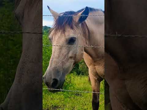 Bem vindos ao Sertão de Moeda. @naturezaincriveloficial @ConociendoLugares @MEGA98FM