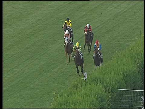 Galoppo 29/06/2016 - 5° corsa