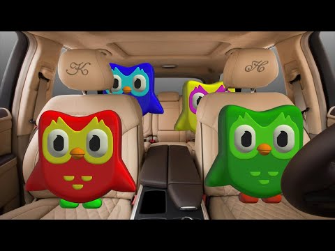 Family Road Trip with Duolingo: A Fun Adventure!