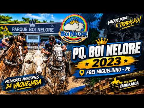 🏆 MELHORES MOMENTOS DA VAQUEJADA | PQ. BOI NELORE | FREI MIGUELINHO-PE 2023 🤠🐂
