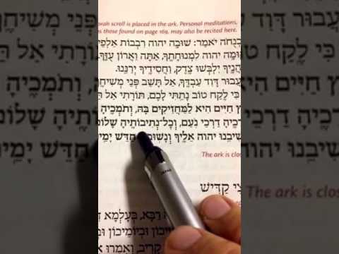 KI LEKACH TOV: Etz Chayim   כִּי לֶקַח טוֹב, עֵץ חַיִּים