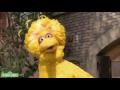 Sesame Street The Good Birds Club