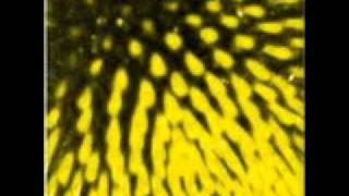 Fila Brazillia - 6ft Wasp