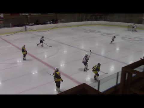 2017 - 2018 D2 A: Kiekko-Karhut vs. Pingviinit