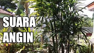 Download lagu SUARA ANGIN || natural noice || wind noice || #anginribut mp3 Download lagu SUARA ANGIN || natural noice || wind noice || #anginribut mp3