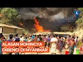 Kenapa Rohingya Dibenci di Myanmar Bahkan Sampai Pembantaian