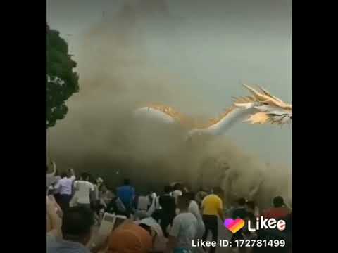 2 de febrero de 2020