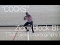 COCKS - Zico (Block B) Dance Cover [TMF Giant ...