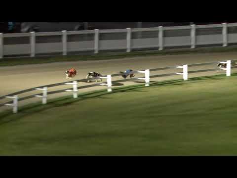 2020.06.12. 04. futam - June Trophy 480m A1