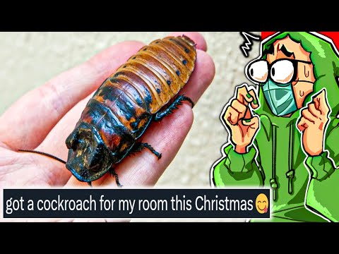 Your Christmas Gifts are Disturbing