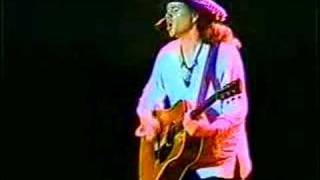 All Along the Watch Tower - Michael Hedges